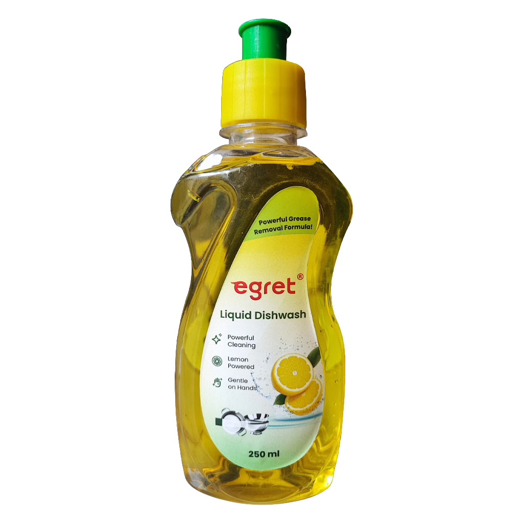 Dish Wash 250 ML